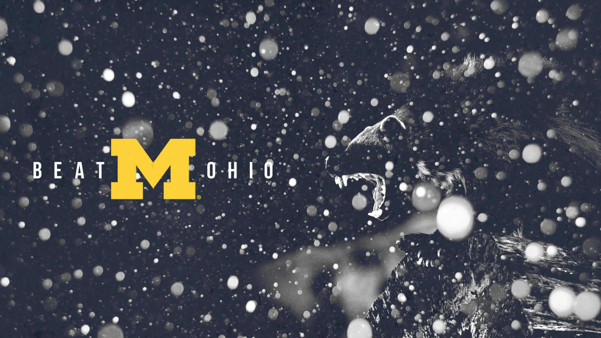 Michigan Wolverines 桌布 壁紙 — 一隻咆哮的獅子剪影從飄落的雪中浮現，旁邊是醒目的黃色「M」和「BEAT OHIO」文字。