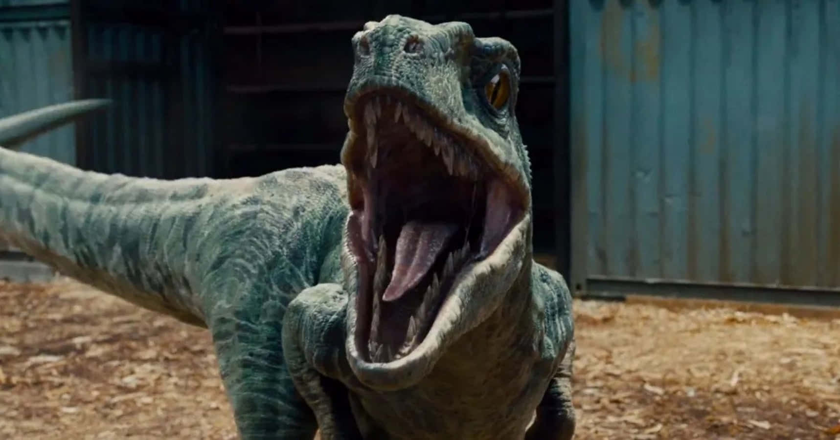 Jurassic World 桌布 壁紙 — 一隻咆哮的綠色恐龍，擁有鋒利的牙齒和黃色的眼睛，站在一個佈滿灰塵、有波紋金屬牆壁的圍欄中。