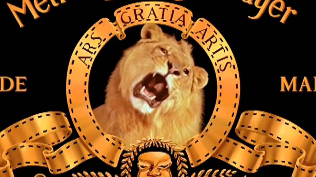 Lion Head 桌布 壁紙 — 一隻咆哮的金色獅子在圓形膠片捲盤框架內，背景為黑色，帶有「ARS GRATIA ARTIS」和「Mayer」文字。