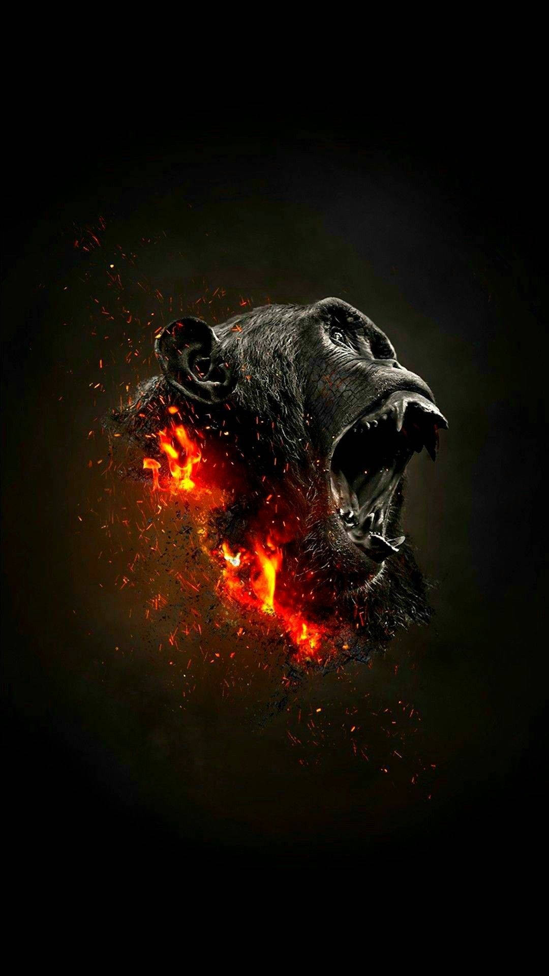 Gorilla 桌布 壁紙 — 一隻咆哮的黑猩猩頭部在黑暗背景中噴發出熾熱的橙色火焰和火花。