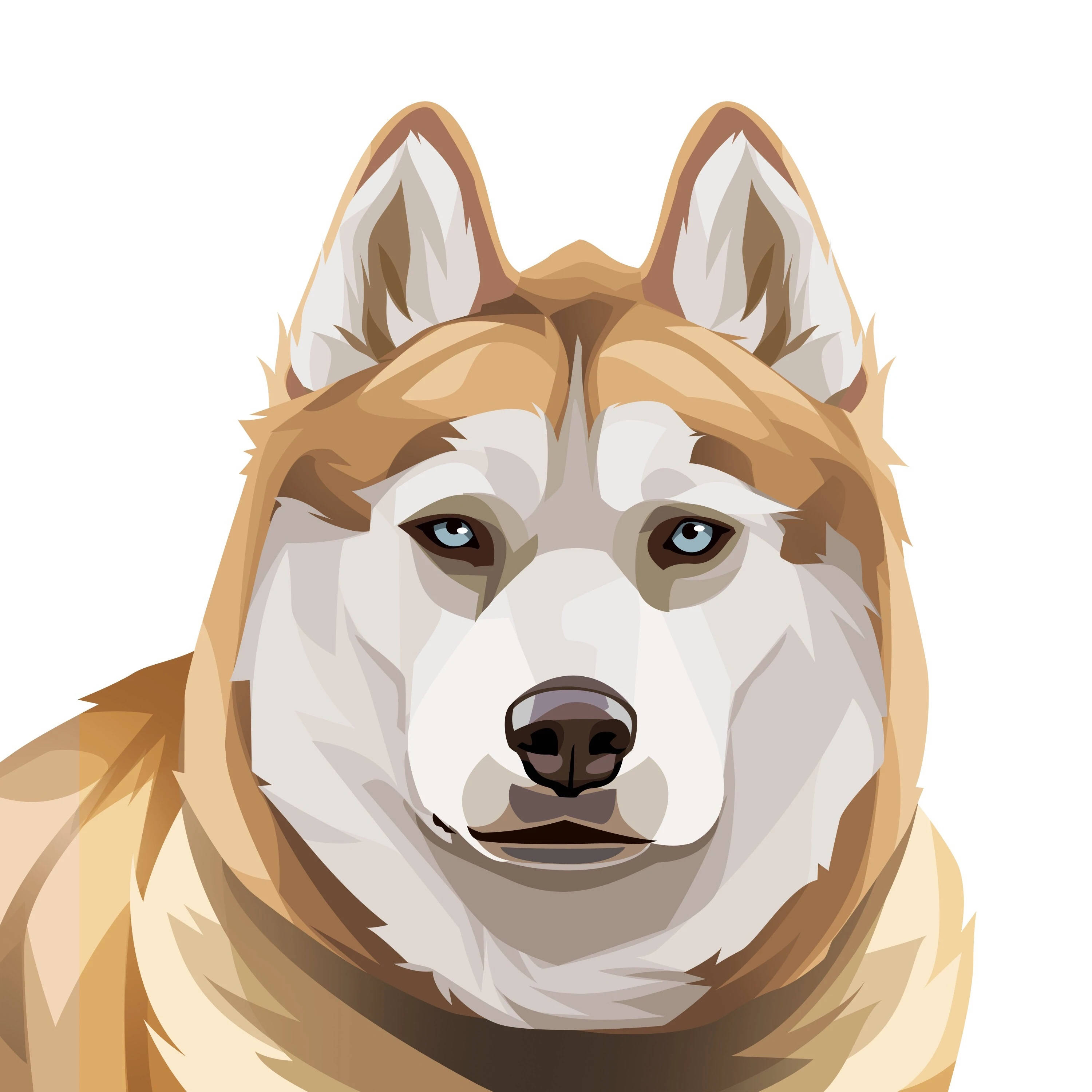 Dog Art 桌布 壁紙 — 一隻哈士奇的風格化插圖，擁有銳利的藍色眼睛和棕白色毛髮，背景為潔淨的白色。