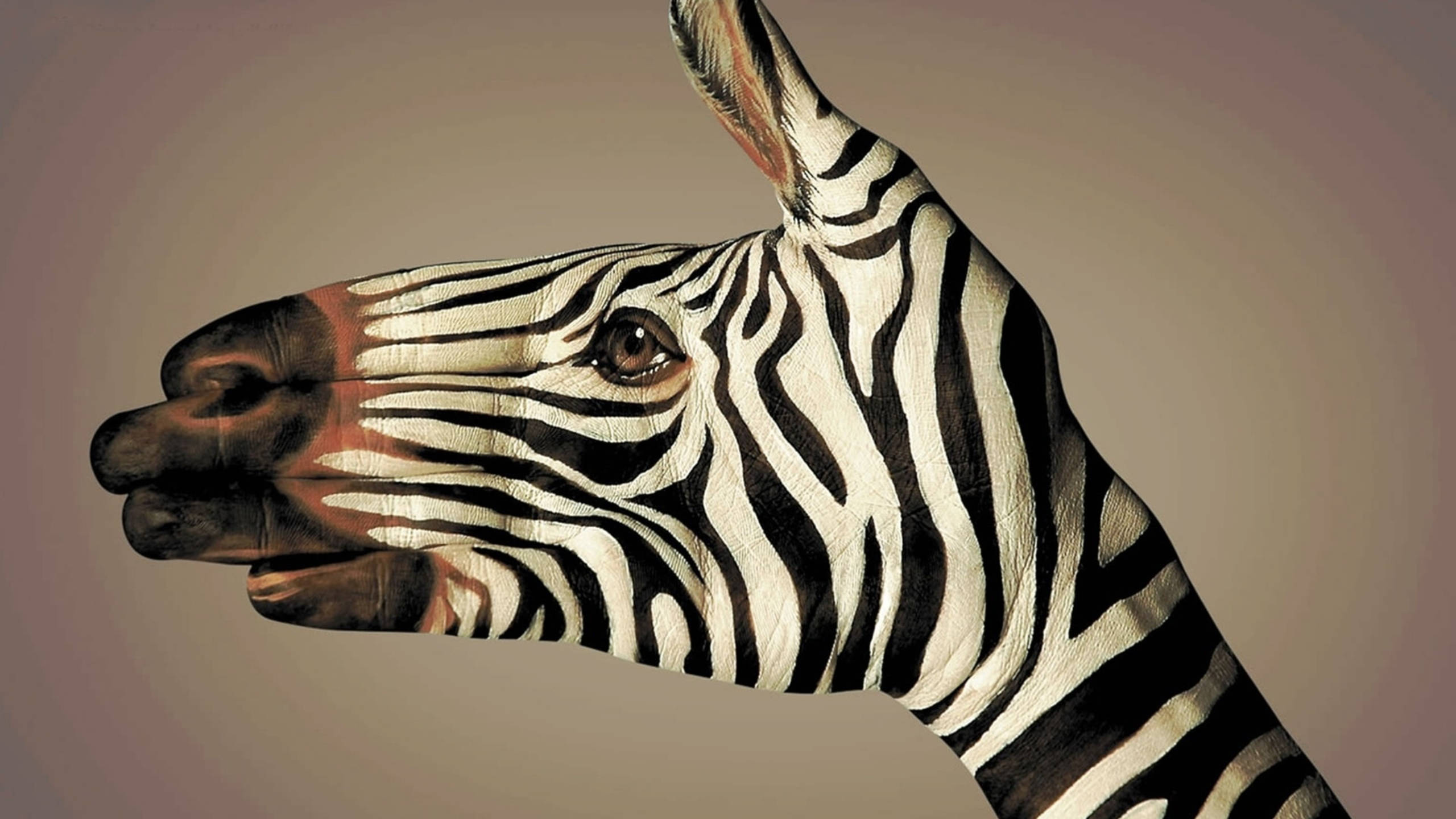 Zebra 桌布 壁紙 — 一隻塗上斑馬條紋的人手，在柔和的漸變背景上形成一個引人注目的斑馬頭肖像。