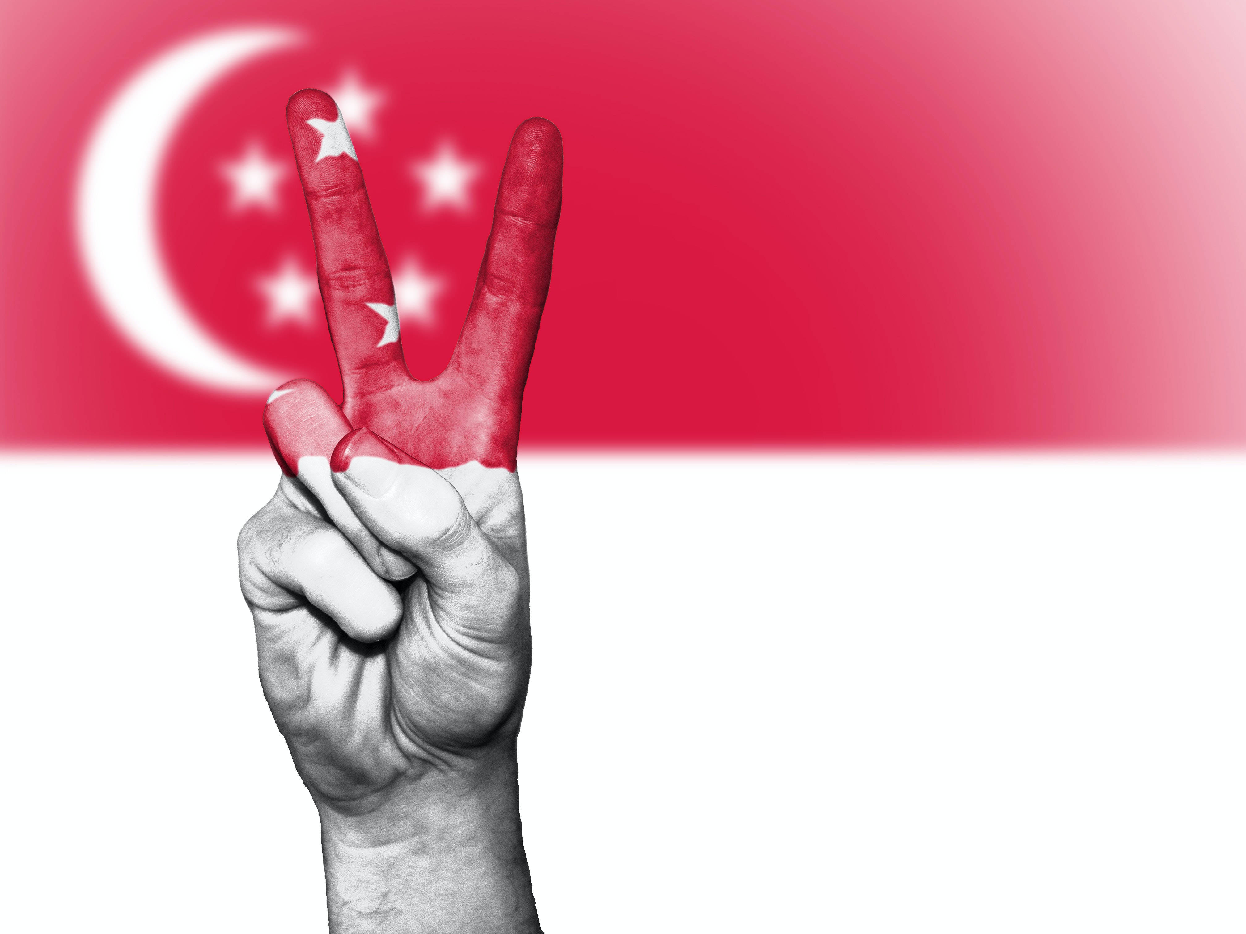 Peace Symbol 桌布 壁紙 — 一隻塗有新加坡國旗顏色的手在模糊的國旗背景下做出和平手勢。