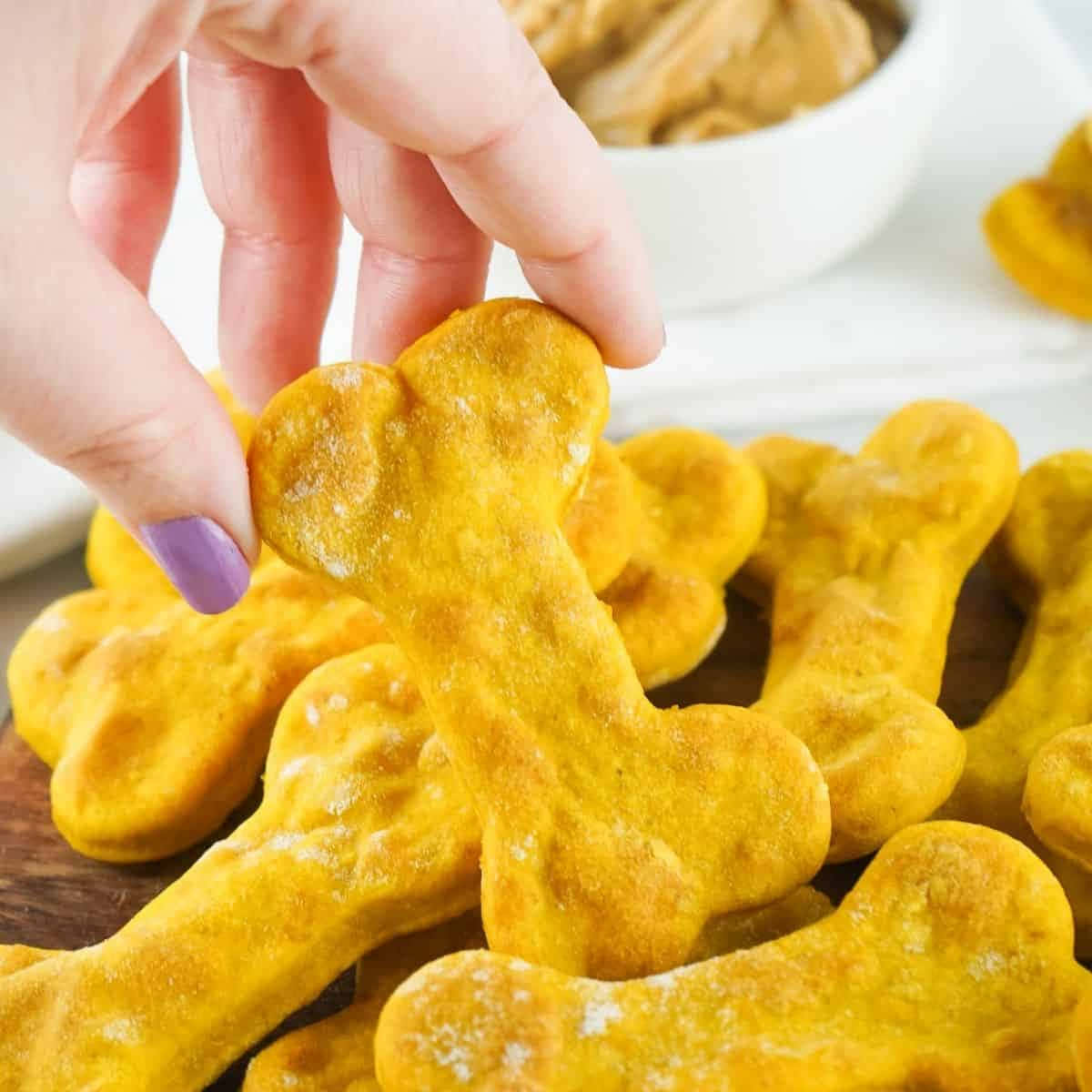 bones 桌布 壁紙 — 一隻塗有紫色指甲油的手從木板上的一堆金色骨形狗零食中撿起一個。