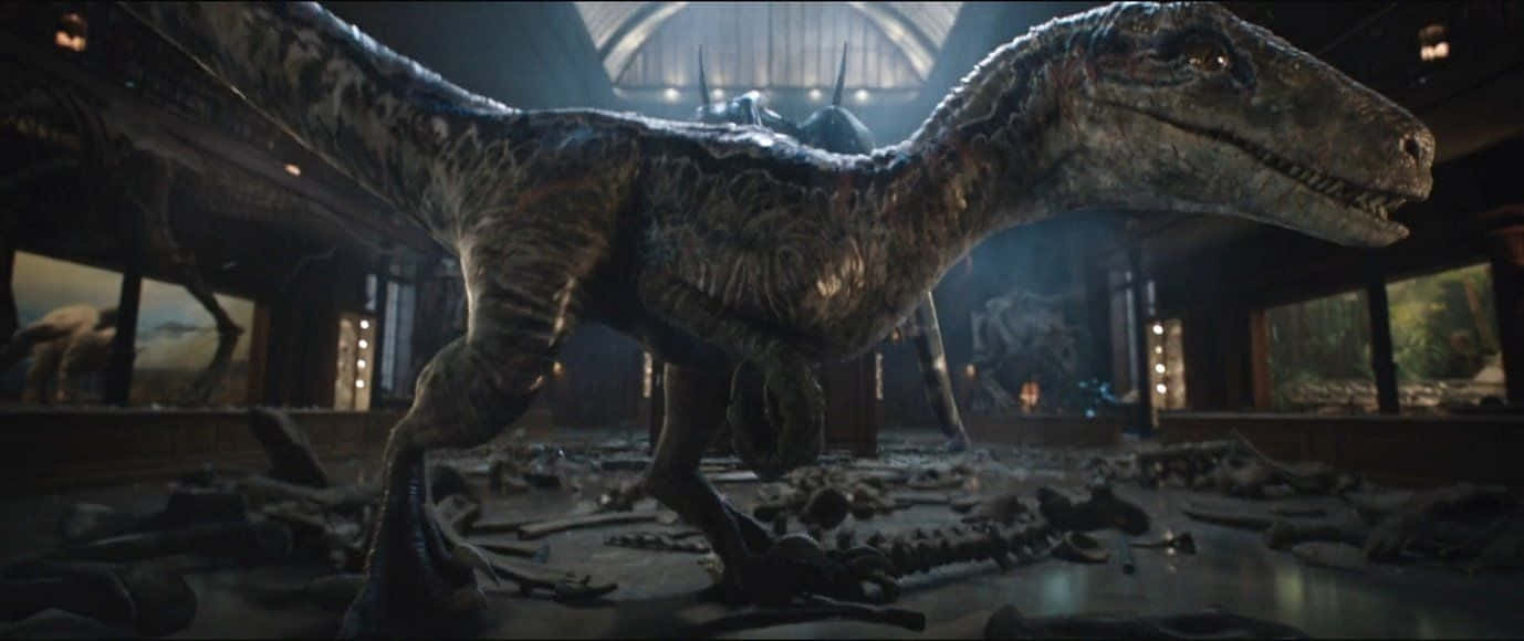 Jurassic World 桌布 壁紙 — 一隻大型有羽毛的猛禽在燈光昏暗的博物館大廳中威嚇地站立，周圍散落著骨頭和破損的展品。