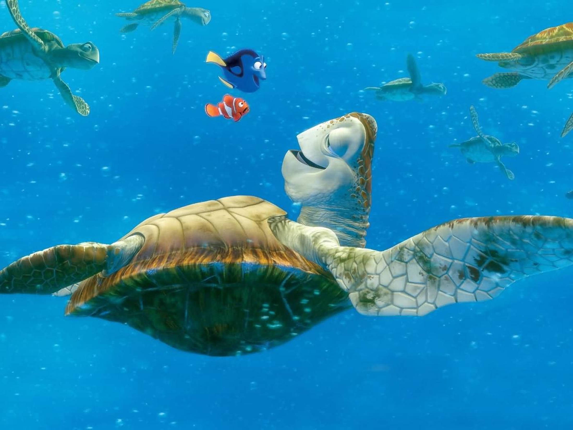 Turtle 桌布 壁紙 — 一隻大海龜在清澈的藍色海水中滑行，多莉和尼莫在附近與其他海龜一起游泳。