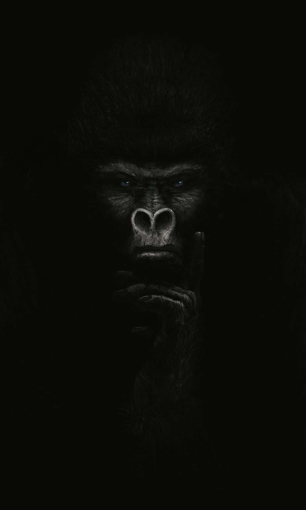 Gorilla 桌布 壁紙 — 一隻大猩猩在黑暗中照亮其強烈的臉龐，一隻手指按在嘴唇上做出安靜的手勢。