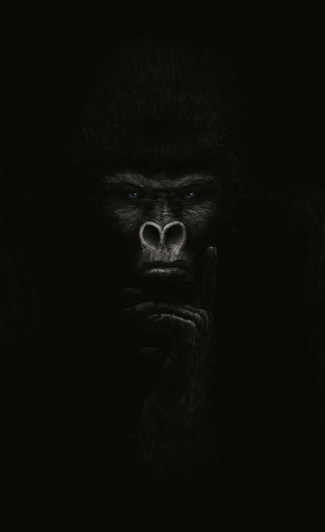 Gorilla 桌布 壁紙 — 一隻大猩猩的強烈面孔從黑暗中浮現，一隻手舉到嘴邊，擺出沉思的姿勢。