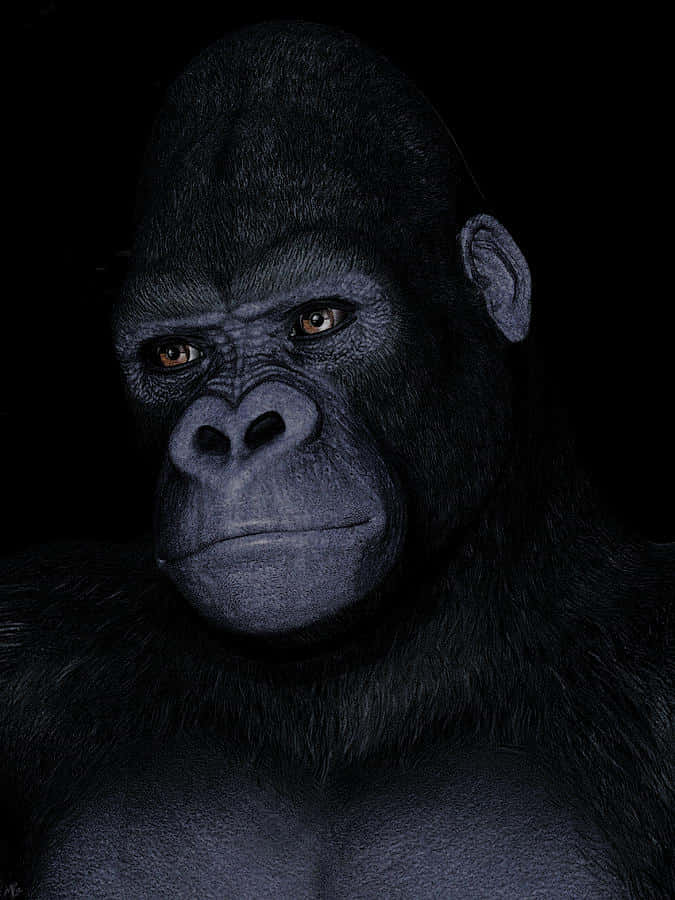 Gorilla 桌布 壁紙 — 一隻大猩猩的特寫肖像，擁有強烈的琥珀色眼睛和深色毛髮，背景為黑色。