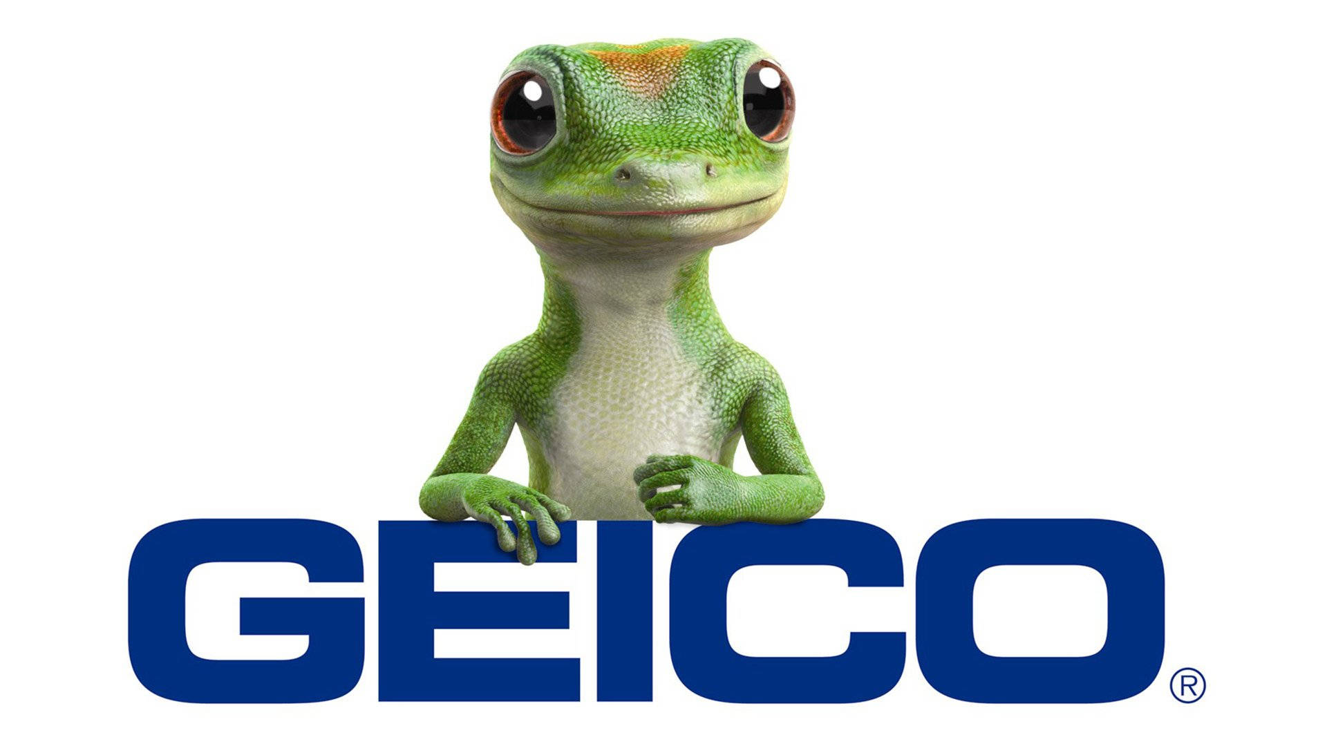 Geico 桌布 壁紙 — 一隻大眼睛、開心的綠色壁虎吉祥物，在純白背景上從搶眼的藍色GEICO標誌上方探出頭來。