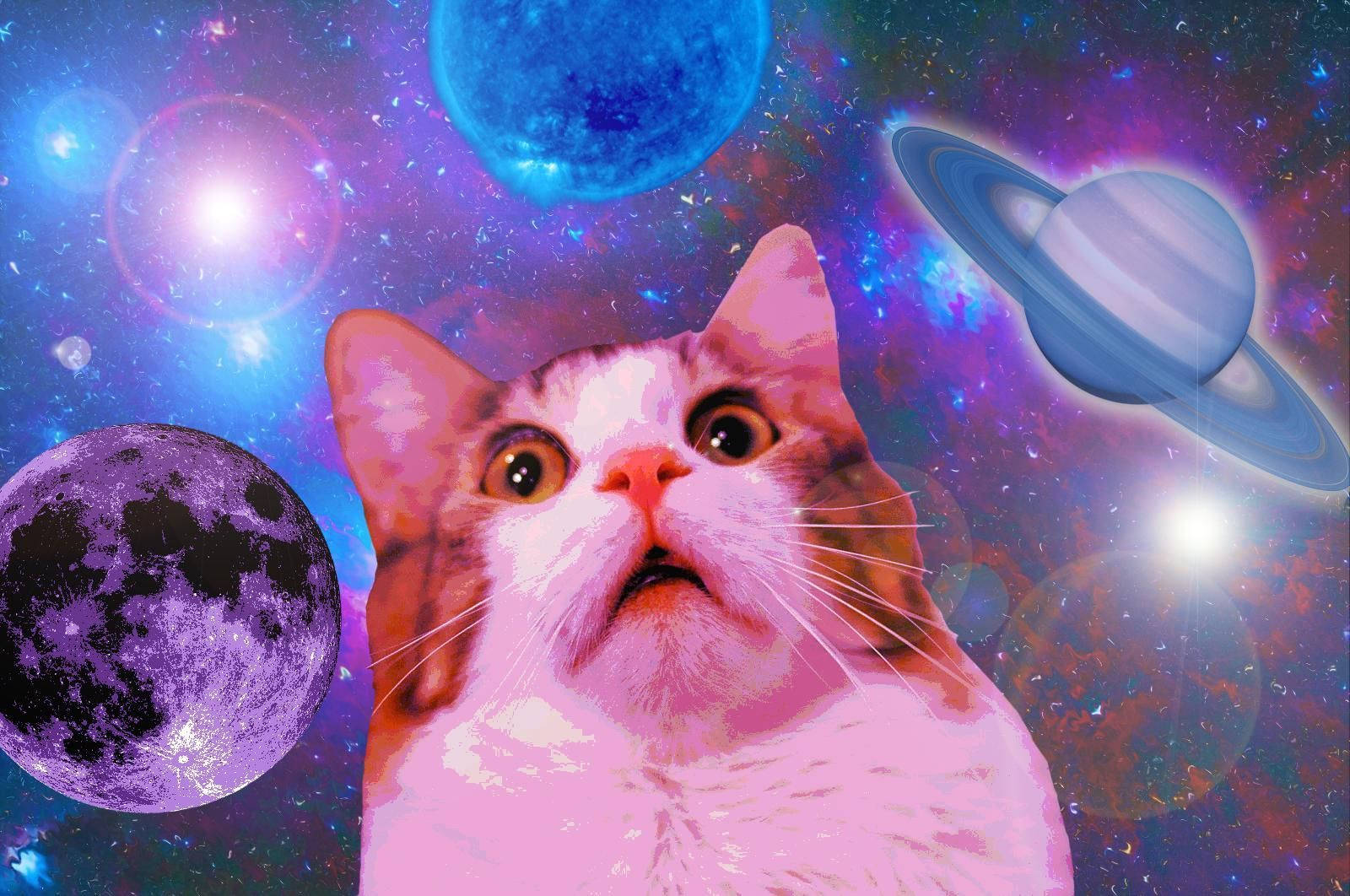 貓迷因 桌布 壁紙 — 一隻大眼粉紅色貓咪對著充滿行星和星星的鮮豔宇宙背景驚嘆地凝視。