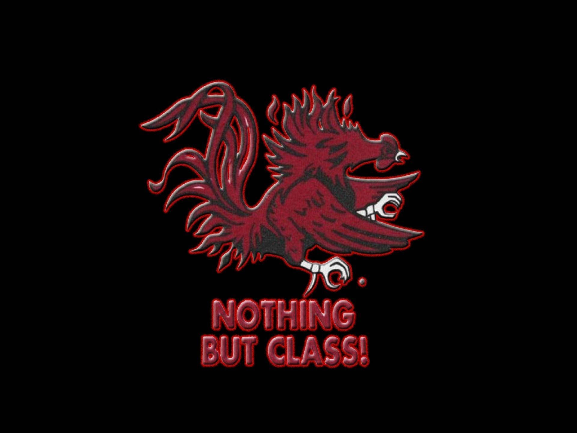 South Carolina Gamecocks 桌布 壁紙 — 一隻大膽的深紅色公雞吉祥物，白色爪子和喙，站在黑色背景前，紅色文字寫著nothing but class!