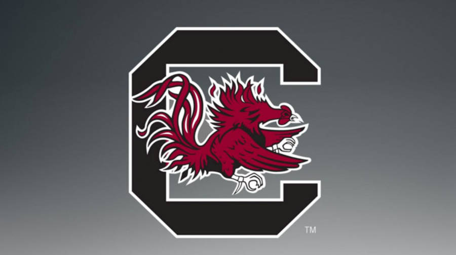 South Carolina Gamecocks 桌布 壁紙 — 一隻大膽的深紅色鬥雞吉祥物在黑色風格化C字內動態跳躍，背景為漸變灰色。