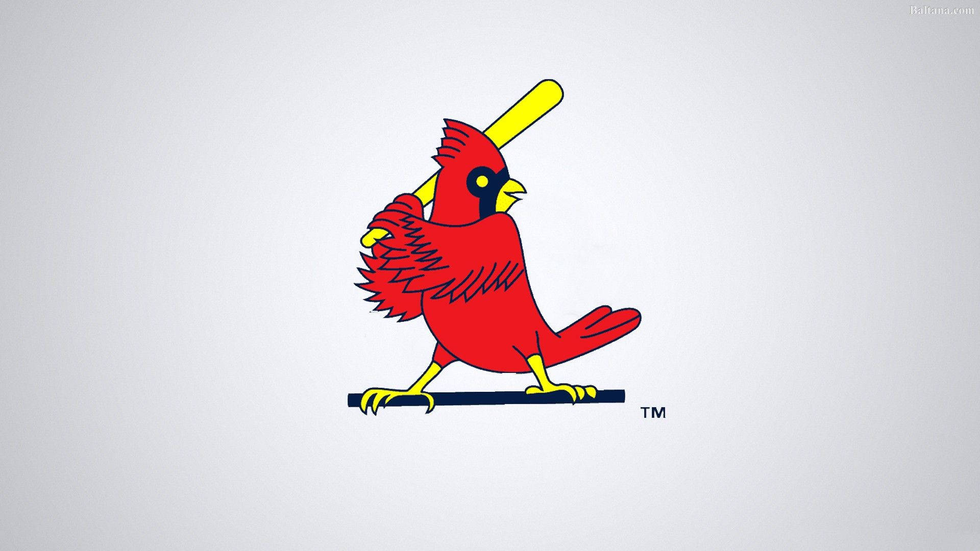 Cardinals 桌布 壁紙 — 一隻大膽的紅色主教鳥拿著黃色棒球棍，棲息在黑色底座上，背景是純淺灰色。