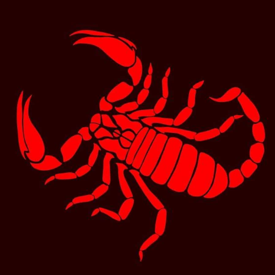 Red Scorpion 桌布 壁紙 — 一隻大膽的紅色蠍子剪影在深栗色背景上脫穎而出，呈現出引人注目的極簡設計。