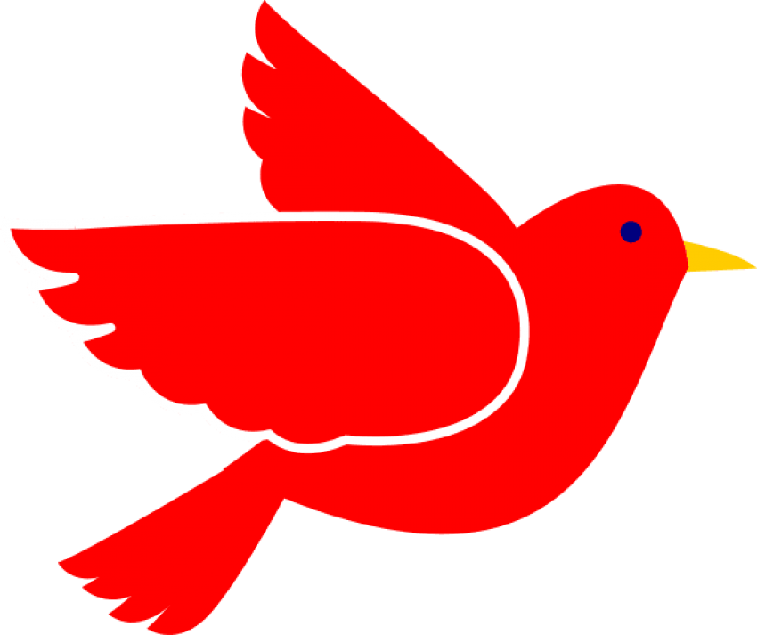Bird Flying 桌布 壁紙 — 一隻大膽的紅色鳥，帶有白色輪廓和黃色喙，在純黑色背景上飛翔。