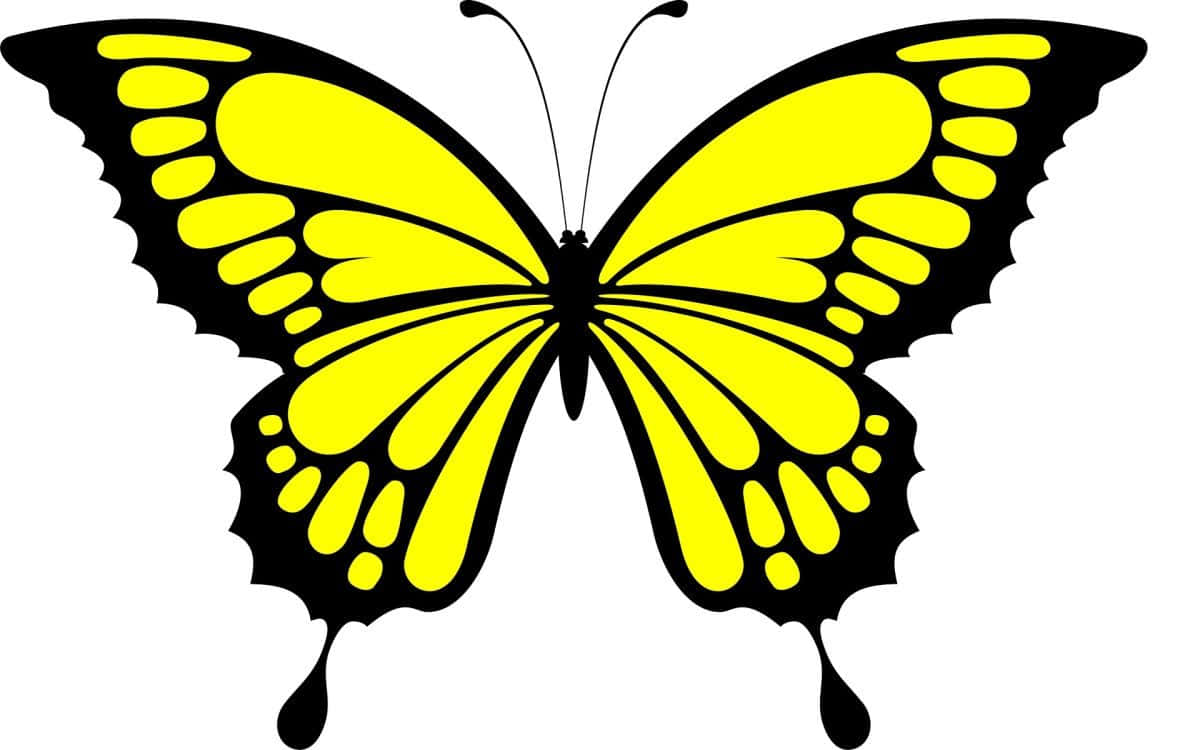 Yellow Butterfly 桌布 壁紙 — 一隻大膽的黃色蝴蝶，帶有黑色輪廓和扇形翅膀，居中在純白色背景上。