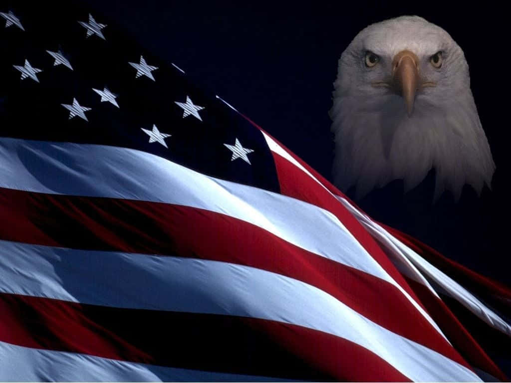 Bald Eagle 桌布 壁紙 — 一隻威嚴的白頭鷹在深色背景下，於飄揚的美國國旗後方凝視著。
