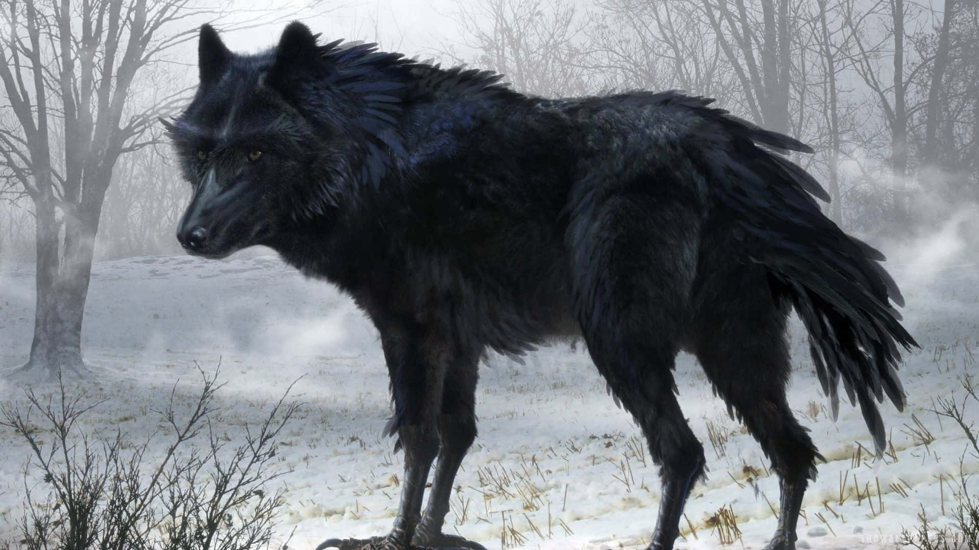 黑狼 桌布 壁紙 — 一隻威嚴的黑狼在雪地森林中警覺地站立，毛髮被霧氣吹亂，光禿的樹木在背景中若隱若現。