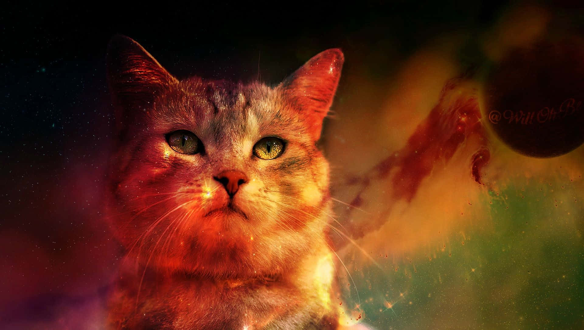 Cute Cat 桌布 壁紙 — 一隻威風的橙色虎斑貓，雙眼發光，在充滿活力的宇宙星雲背景下向前凝視。