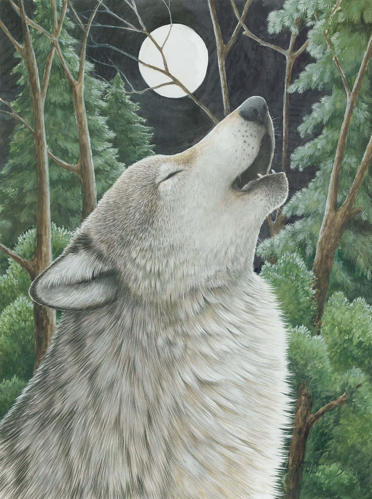 Howling Wolf 桌布 壁紙 — 一隻孤狼在夜間茂密的森林中，向著被光禿樹枝框住的滿月嚎叫。