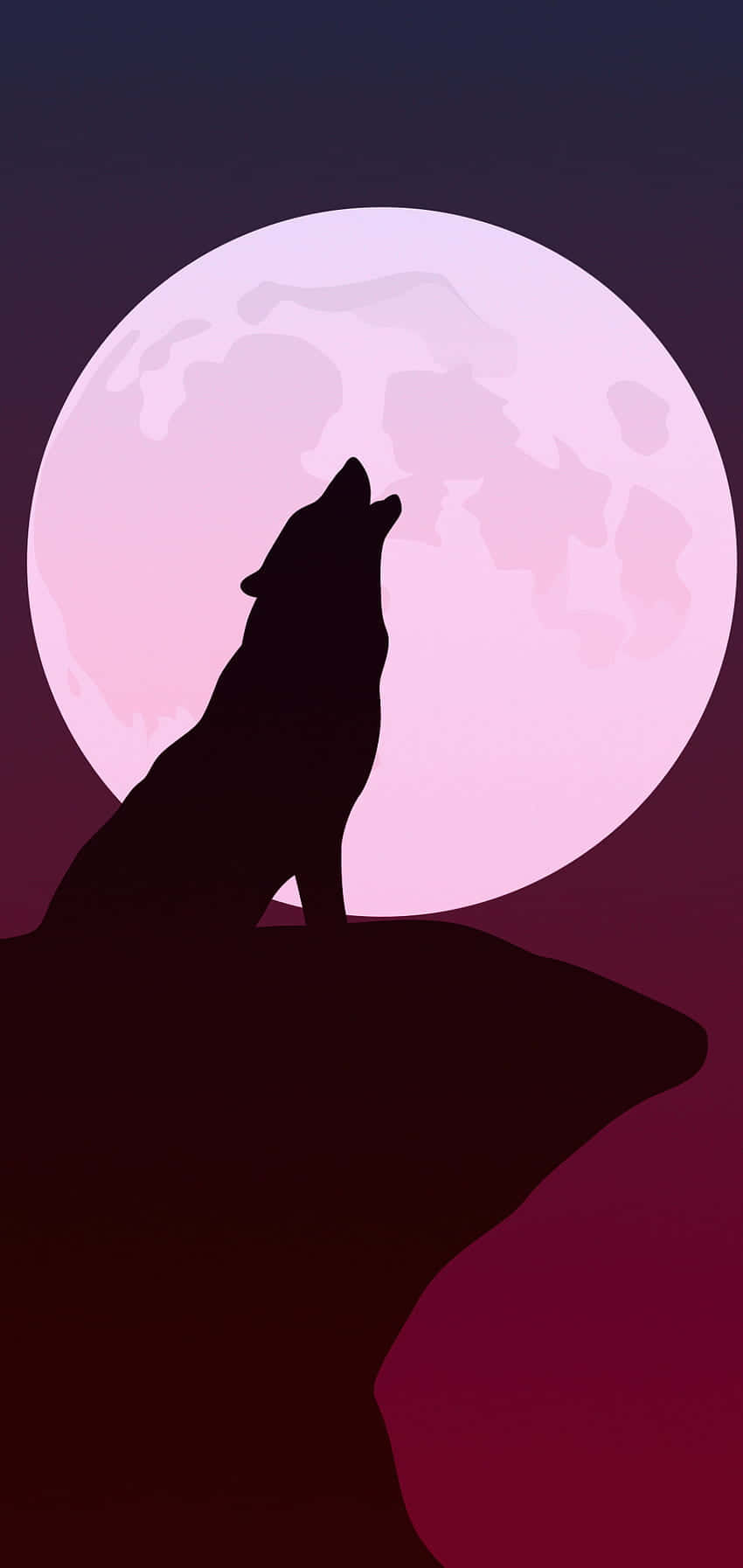 Pink Wolf 桌布 壁紙 — 一隻孤狼的剪影在懸崖頂上對著漸變暮色天空中發光的粉紅色滿月嚎叫。