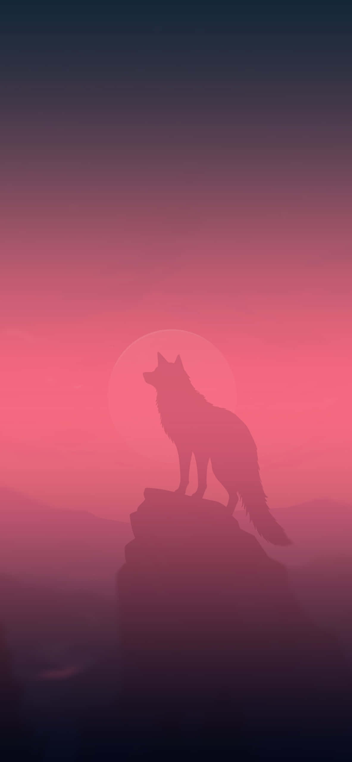 Wolf In Sunset 桌布 壁紙 — 一隻孤狼的剪影站在懸崖頂上，對著發光的粉紅色和紫色日落天空嚎叫。
