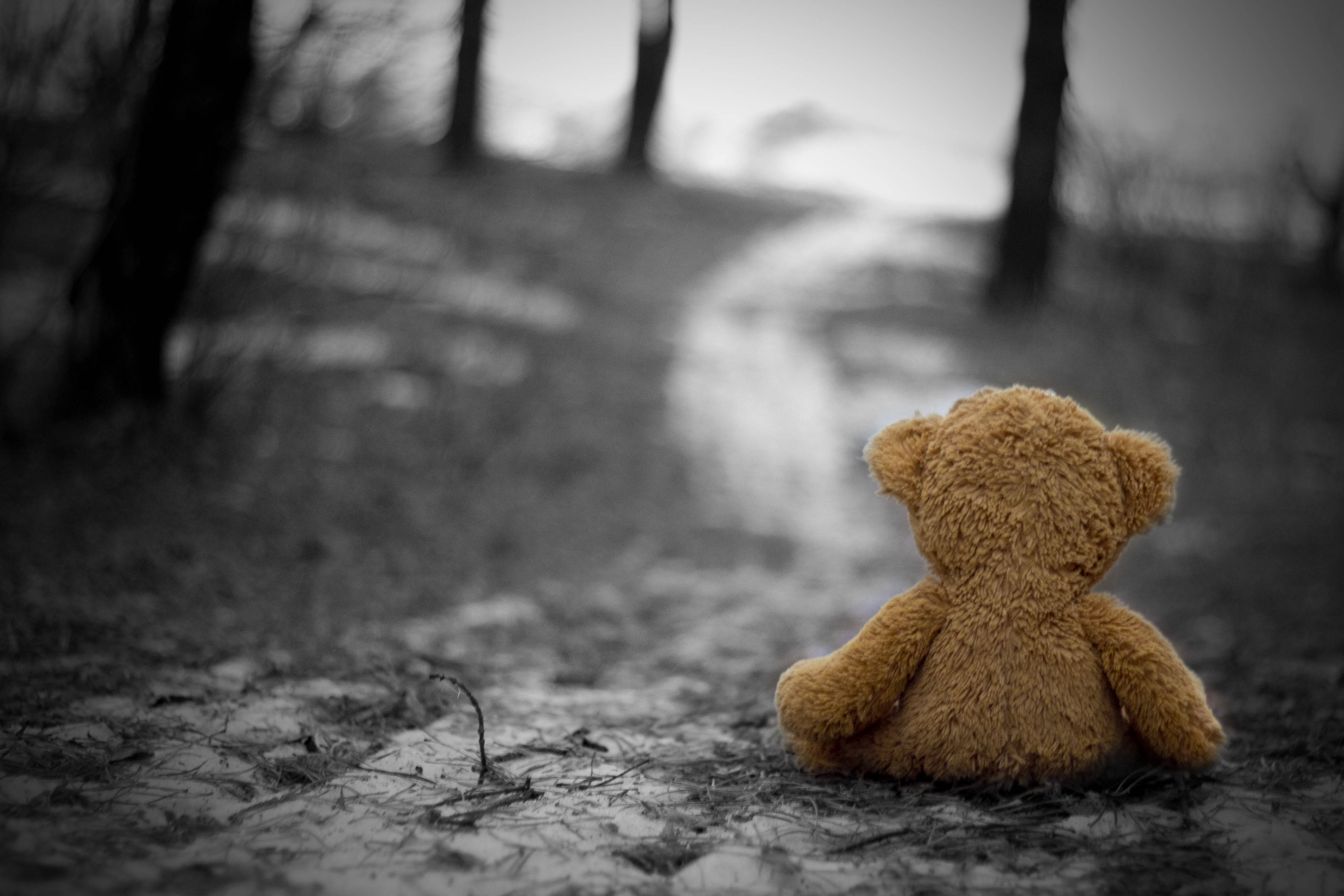 Teddy Bear 桌布 壁紙 — 一隻孤獨的棕色泰迪熊坐在森林小徑上，背向觀眾，處於一個去飽和的單色場景中，帶有選擇性色彩。