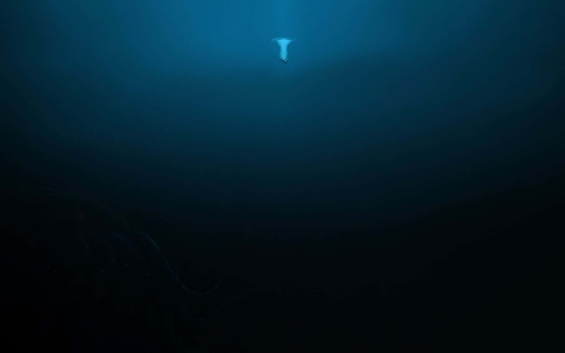 海洋 桌布 壁紙 — 一隻孤獨的水母在陽光照射下，微弱地發光，穿過深邃黑暗的海洋向上漂流。
