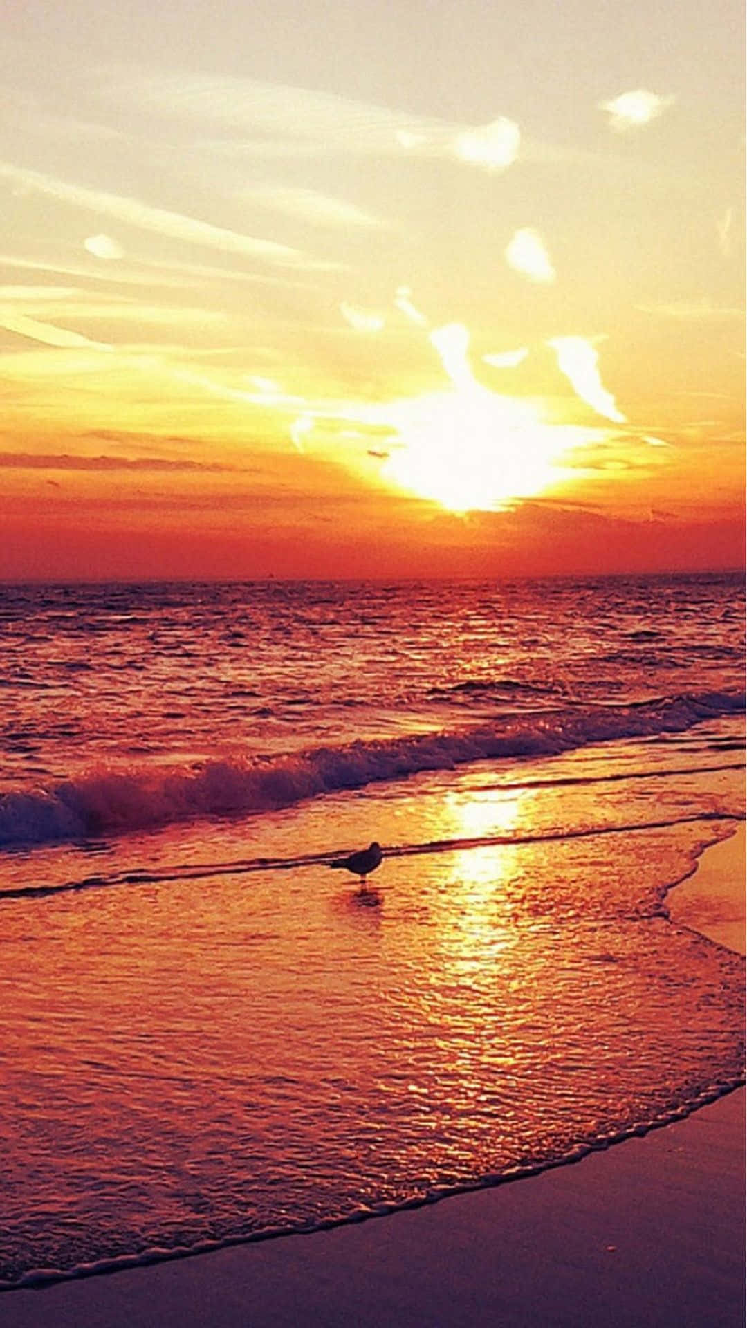 Sunset Beach iPhone 桌布 壁紙 — 一隻孤獨的海鷗站在淺水中，夕陽在充滿活力的橙色和紅色海洋地平線上落下。