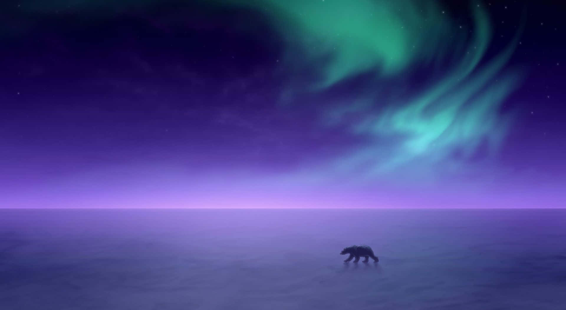 Aurora 桌布 壁紙 — 一隻孤獨的熊在冰凍的廣闊地帶上行走，頭頂是充滿活力的綠色和紫色北極光。