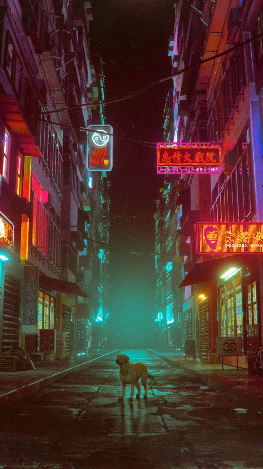 唐人街 桌布 壁紙 — 一隻孤獨的狗站在夜晚霓虹燈閃爍的城市中濕漉漉的巷子裡，周圍是發光的招牌和高聳的建築物。