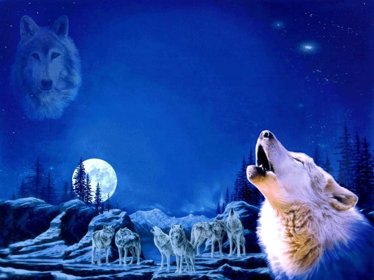 Cute Wolves 桌布 壁紙 — 一隻孤獨的狼在滿月下嚎叫，而一隻幽靈狼在雪林上空的天際注視著。