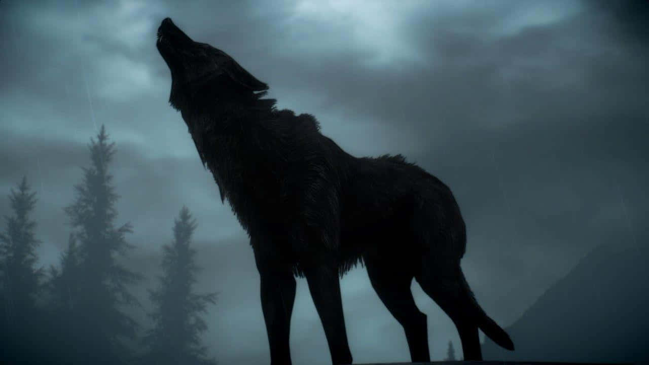 Dire Wolf 桌布 壁紙 — 一隻孤獨的狼對著暴風雨般的灰色天空嚎叫，背景是霧氣繚繞的松樹。
