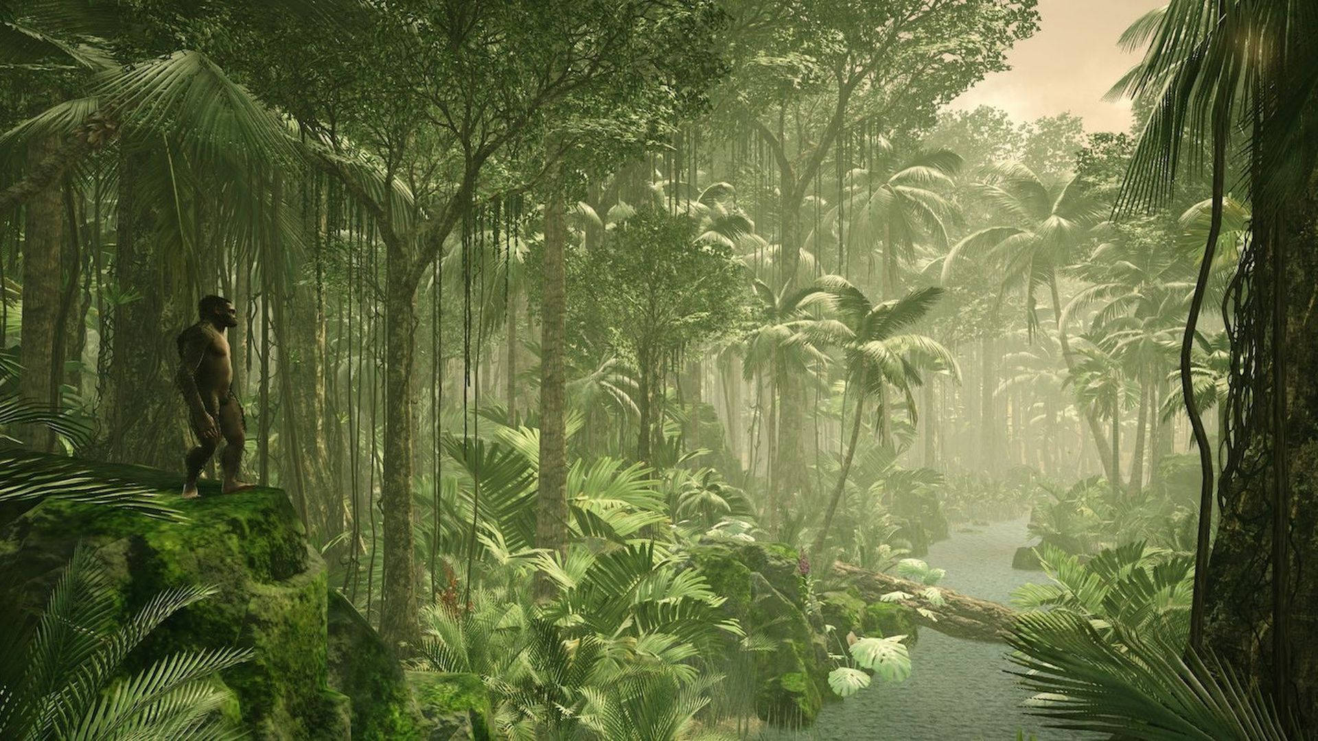 Humankind 桌布 壁紙 — 一隻孤獨的猿類站在長滿苔蘚的岩石上，俯瞰著霧氣瀰漫的叢林河流，周圍是高聳的棕櫚樹和茂密的樹葉。