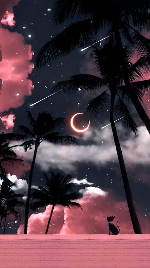 夜空 桌布 壁紙 — 一隻孤獨的貓坐在粉紅色的牆上，在剪影棕櫚樹下，在充滿活力的粉紅色和紫色夜空下，有發光的彎月和流星。
