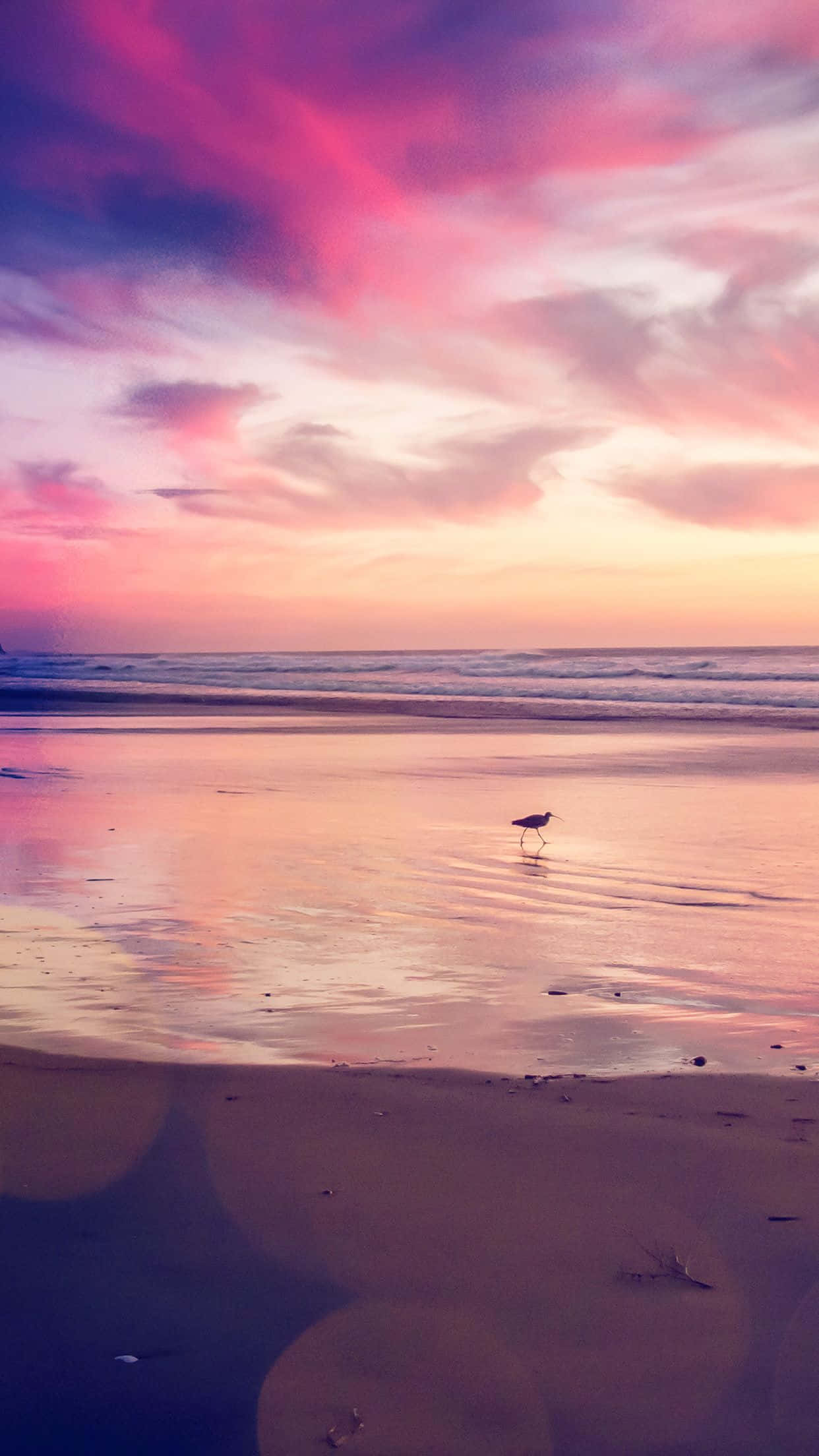 Sunset Beach iPhone 桌布 壁紙 — 一隻孤獨的鳥在濕漉漉的海灘上行走，天空是充滿活力的粉紅色和紫色日落。