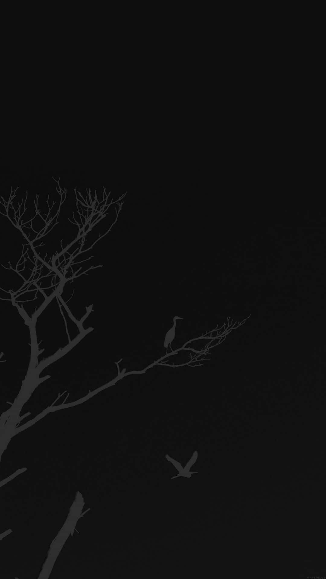 Minimalist Monochrome 桌布 壁紙 — 一隻孤獨的鳥棲息在光禿禿的樹枝上，背景是深邃的黑色夜空，另一隻鳥在下方飛翔。