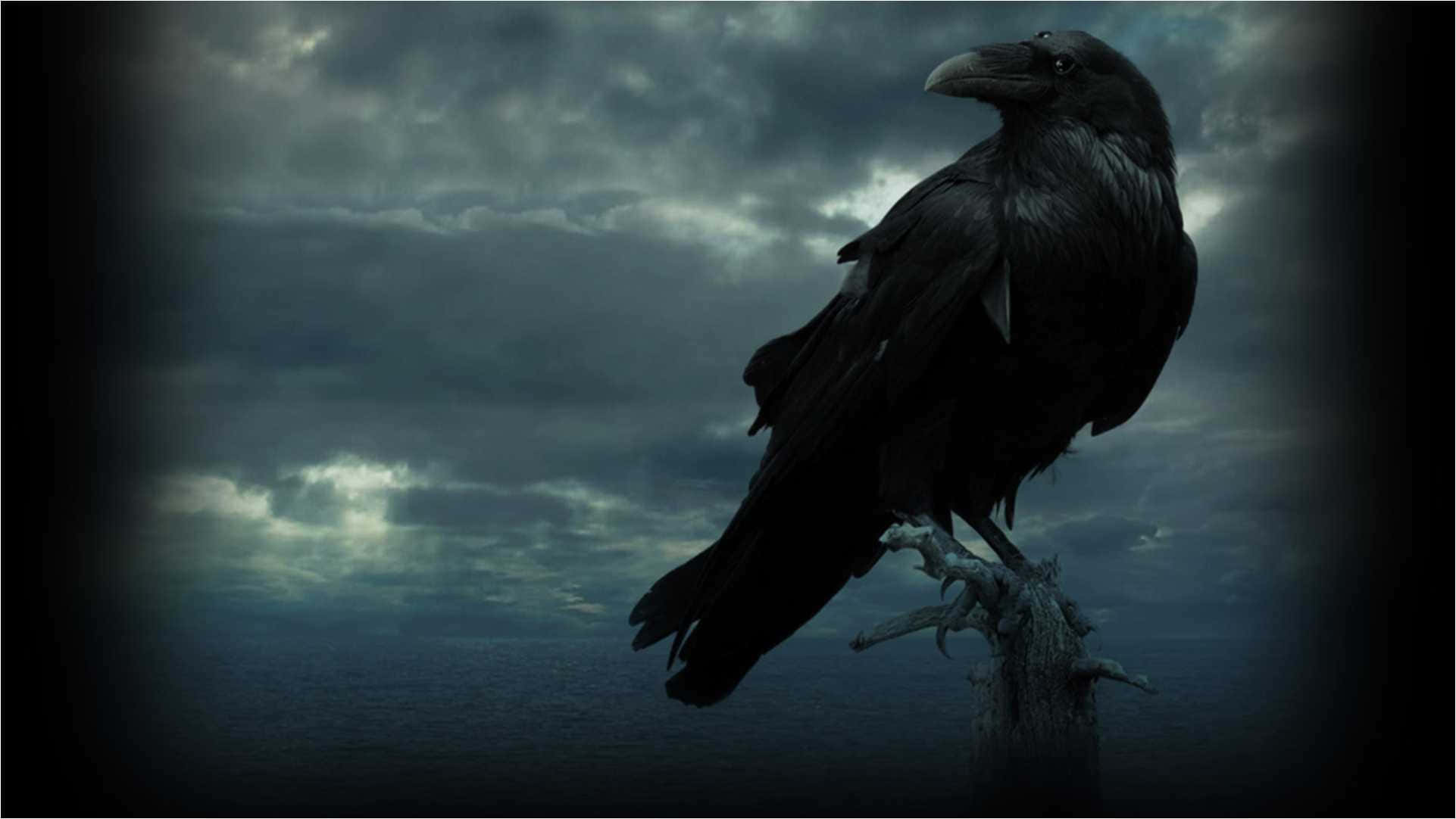 Raven 桌布 壁紙 — 一隻孤獨的黑烏鴉棲息在彎曲的樹枝上，背景是風暴黃昏的天空，烏雲密佈。