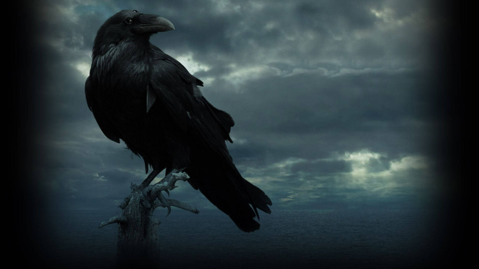 Raven 桌布 壁紙 — 一隻孤獨的黑烏鴉棲息在風化的樹枝上，背景是暴風雨前的灰色天空和黑暗的水面。