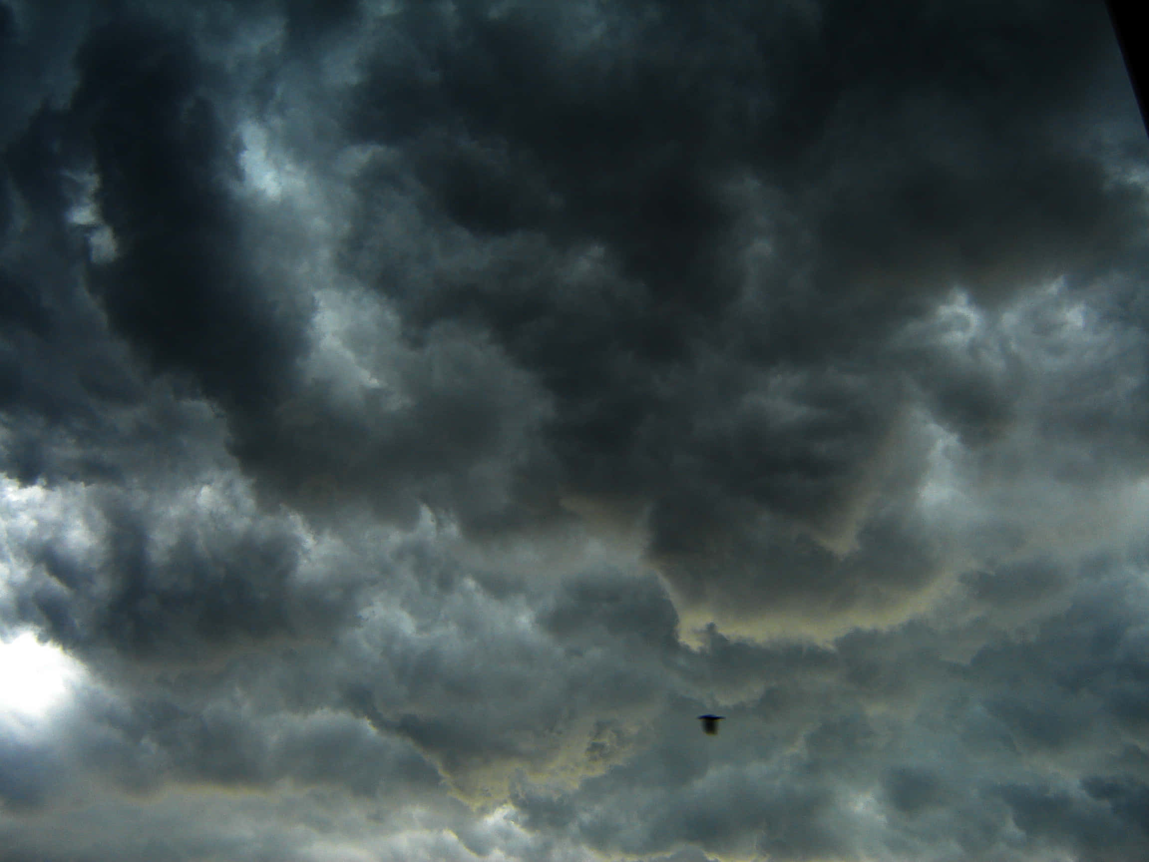 Stormy 桌布 壁紙 — 一隻孤鳥在充滿陰沉烏雲、被柔和金光穿透的戲劇性天空下翱翔。