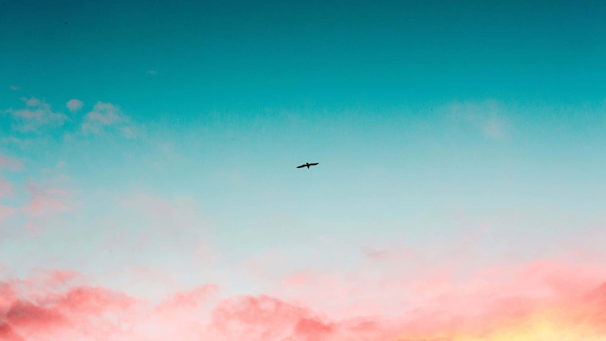 Beautiful Sky 桌布 壁紙 — 一隻孤鳥在日落時分翱翔於充滿活力的天空，天空被青綠色和粉紅色的雲彩染遍。