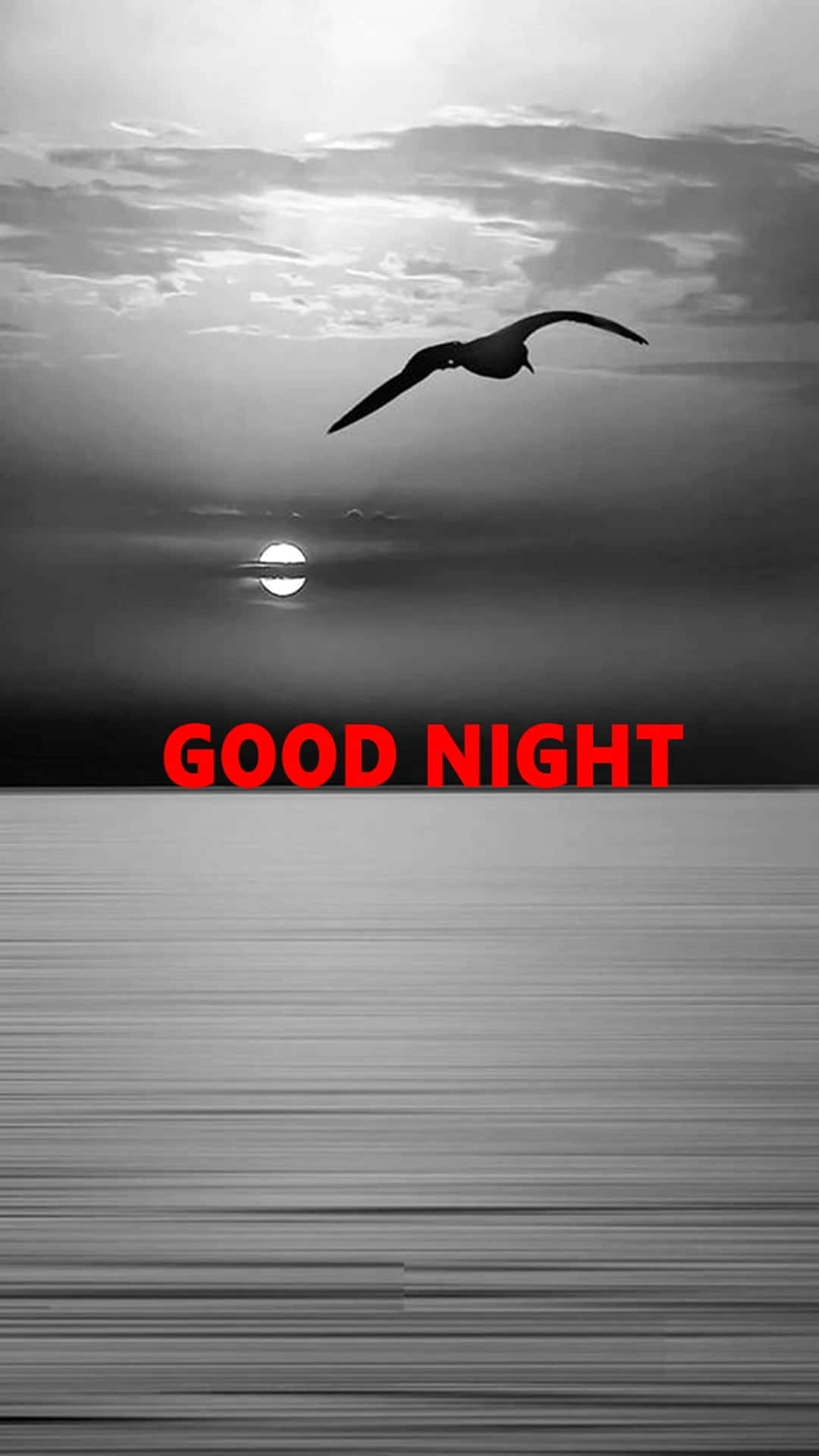 good night animated 桌布 壁紙 — 一隻孤鳥在日落時分翱翔於平靜的水面上，以粗體紅色「晚安」文字框住。