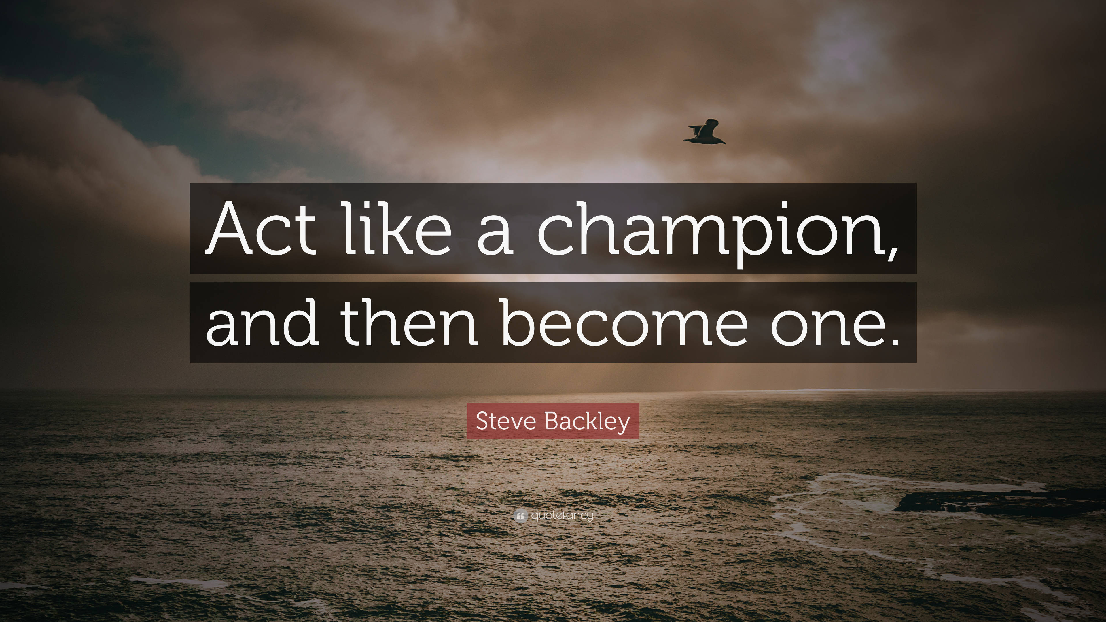 Champion 桌布 壁紙 — 一隻孤鳥在暴風雨的海面上翱翔，Steve Backley 的勵志名言覆蓋在戲劇性的天空和波浪上。