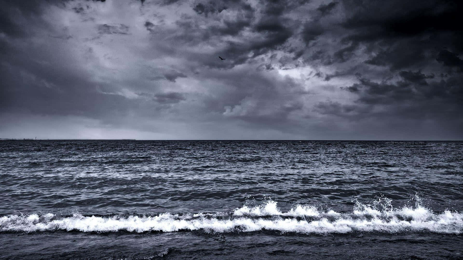 Black Sea 桌布 壁紙 — 一隻孤鳥在翻騰的海洋上空翱翔，天空陰沉、風暴密佈，波濤洶湧。
