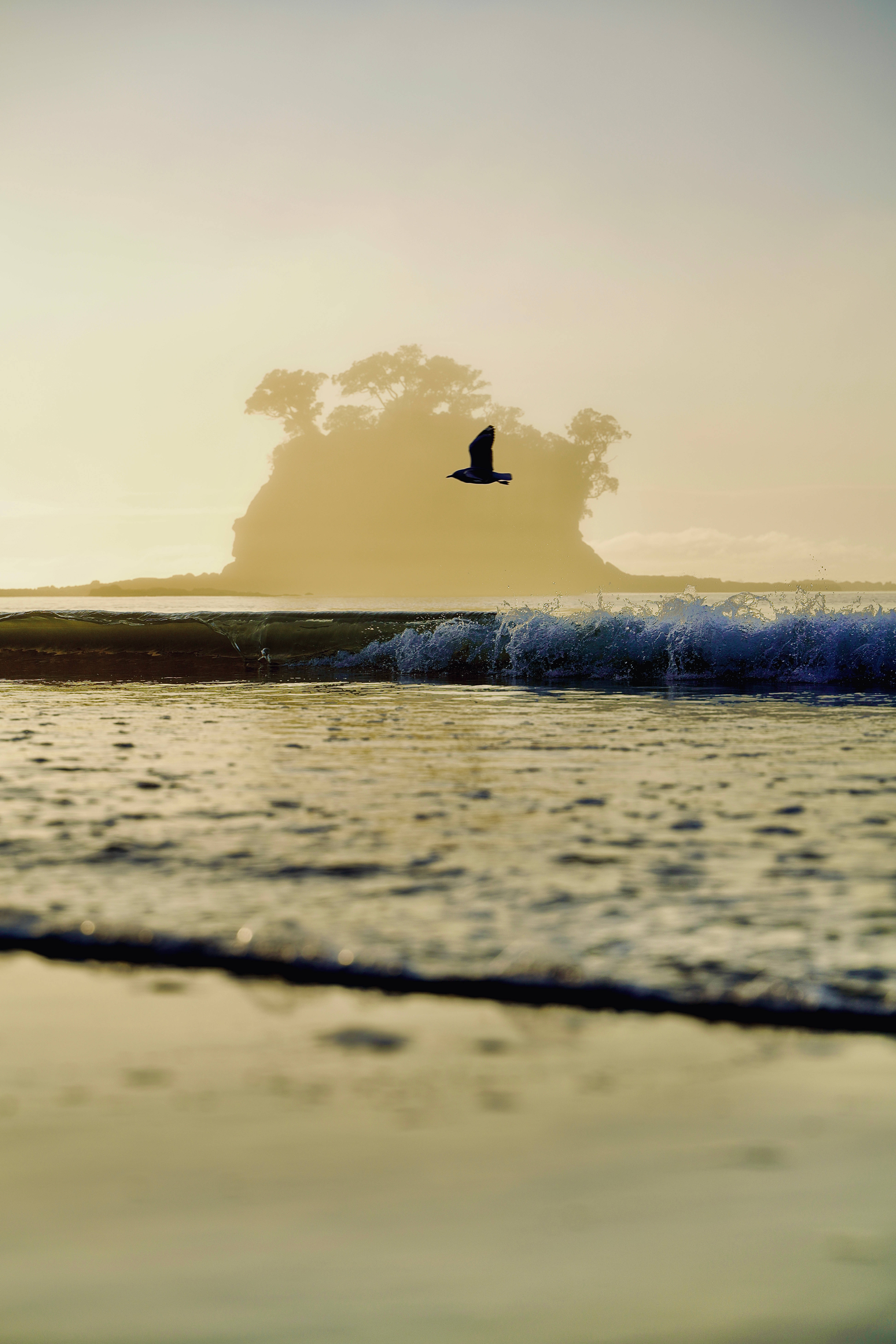 birds 桌布 壁紙 — 一隻孤鳥在金色日出時分翱翔於溫柔的海浪之上，遠方霧氣中有一座樹木覆蓋的岩石島嶼。