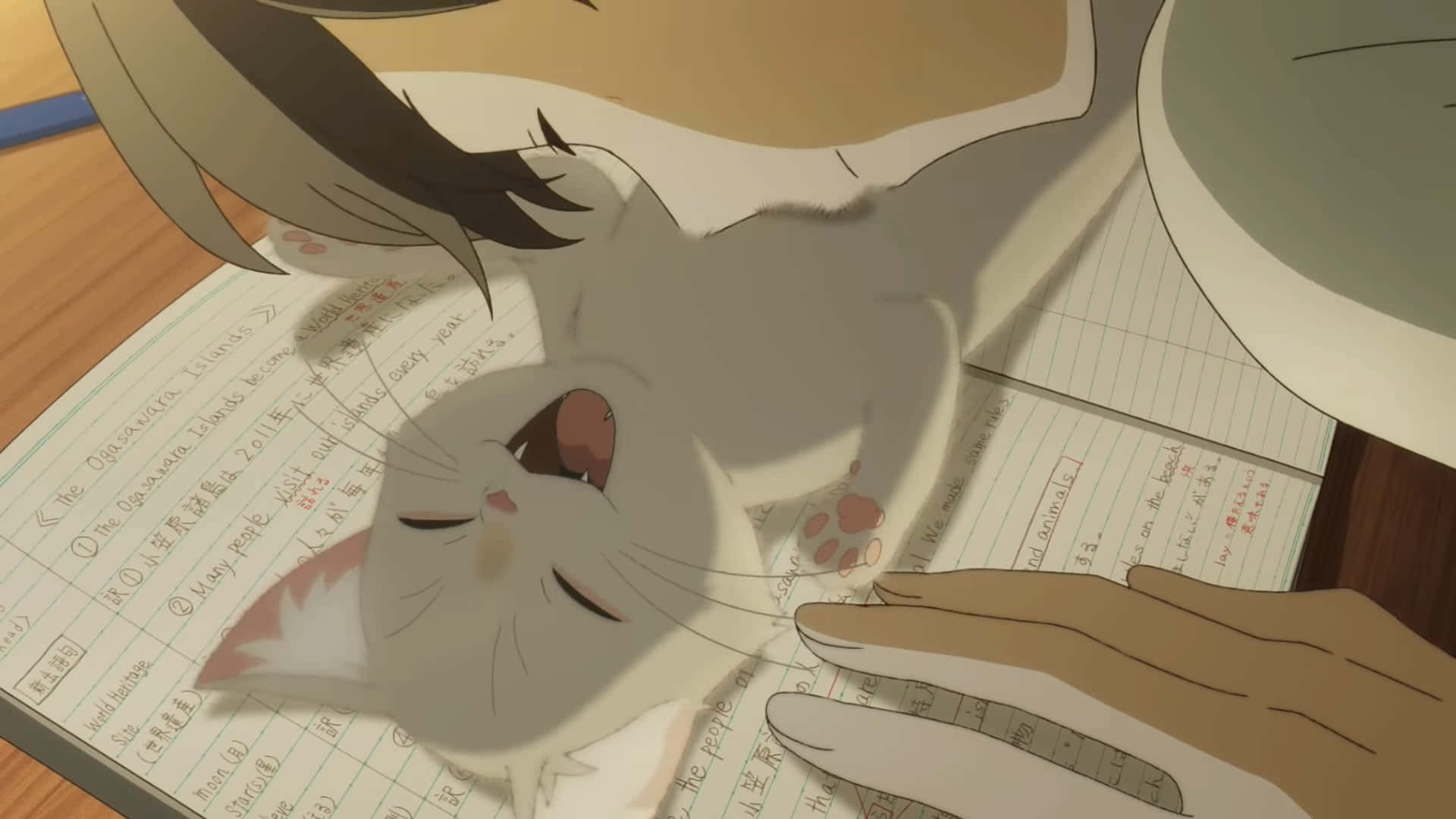 A Whisker Away 桌布 壁紙 — 一隻寧靜的動漫貓咪安詳地躺在筆記本上休息，一隻手輕輕撫摸牠的頭，在安靜的室內時刻。