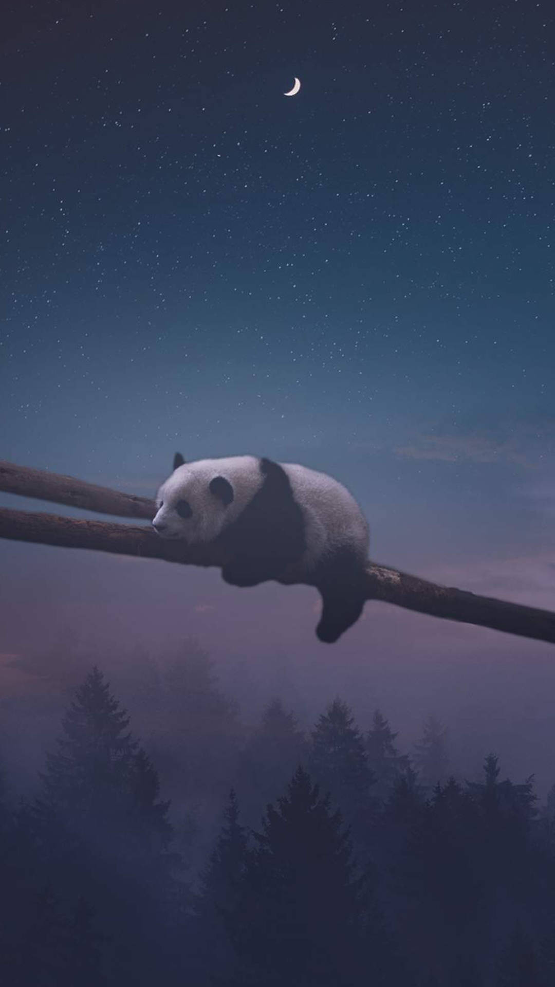 熊貓 桌布 壁紙 — 一隻寧靜的熊貓在繁星點點的夜空下，新月懸於迷霧森林之上，棲息在樹枝上。