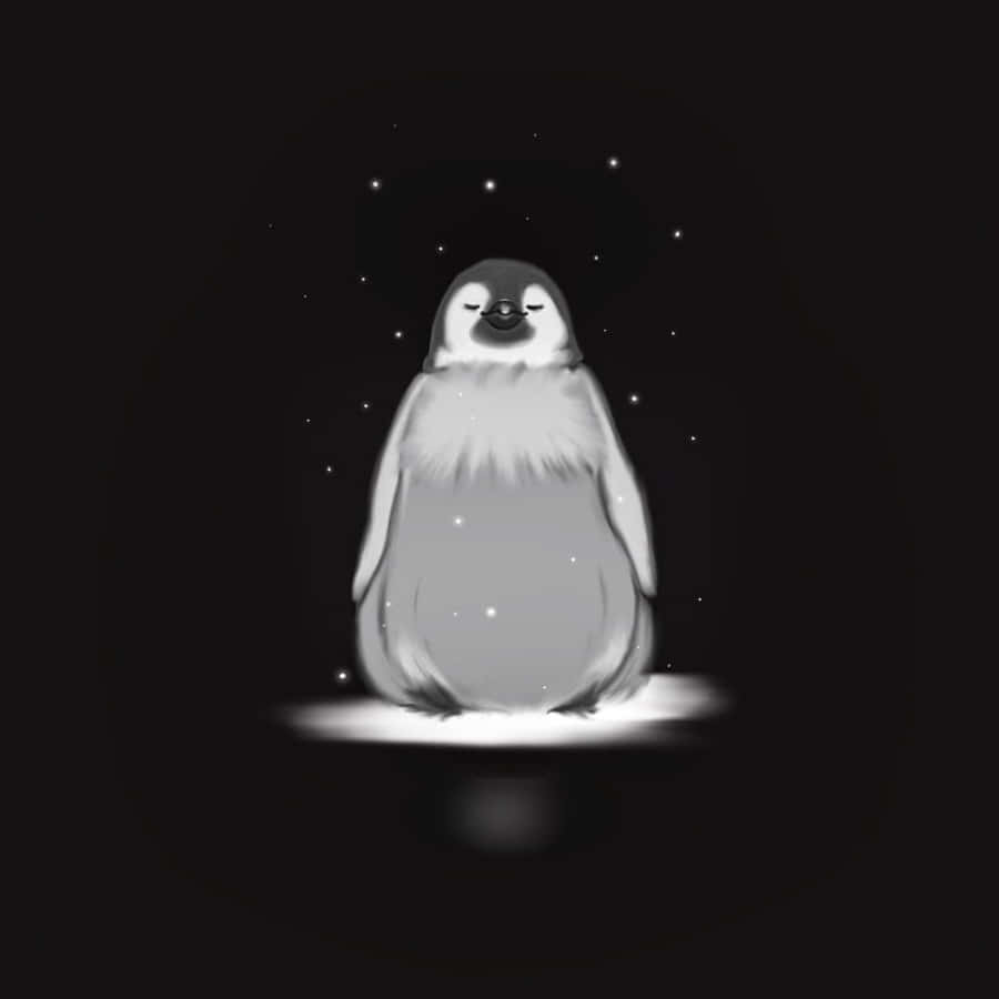 鳥 桌布 壁紙 — 一隻寧靜的黑白企鵝在星空下平靜地坐著，周圍有柔和發光的粒子。