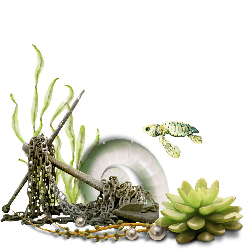 水下動畫 桌布 壁紙 — 一隻小海龜在一個有氣泡和綠色植物的水下場景中游過珊瑚鏈和一個白色輪胎。